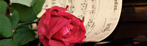 Raad van Troost @ Pronaos Oase Online